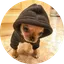 Doginhood
