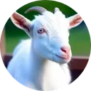 Jewels Da Goat