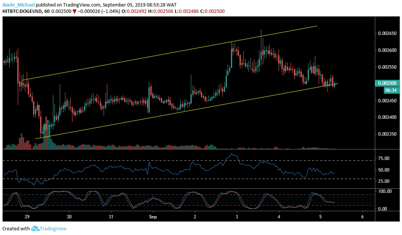 DOGE 1h Chart