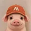 Anthropig