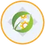 CEA Industries Tokenized bStocks