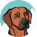 Arky Satoshi's Dog