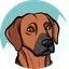 Arky Satoshi's Dog