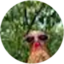 Gallo the Hen