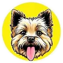 TOTO