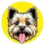 TOTO