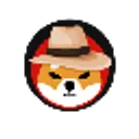 Tourist Shiba Inu