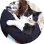 Onigiri The Cat