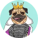 Doug The Pug