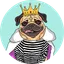 Doug The Pug