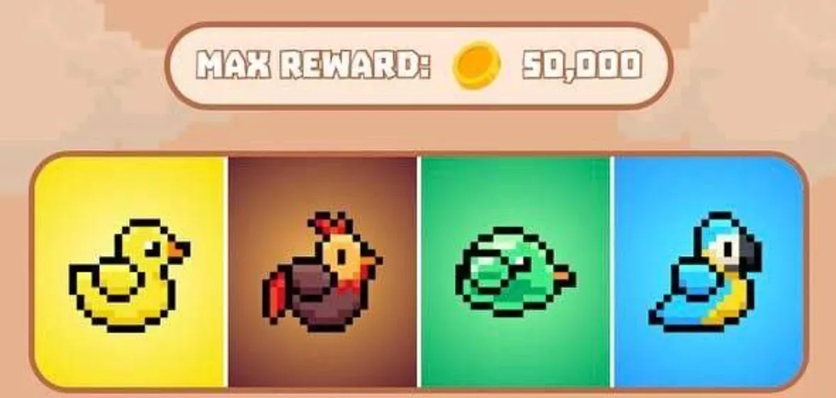 Bird daily combo