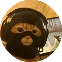 catwifmask