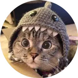How to Buy Shark Cat (SC)