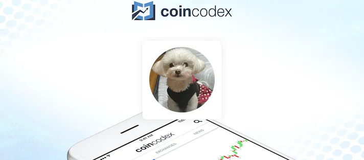 Previsión Pooku 2026-2030: Pronóstico y Predicción POOKU | CoinCodex