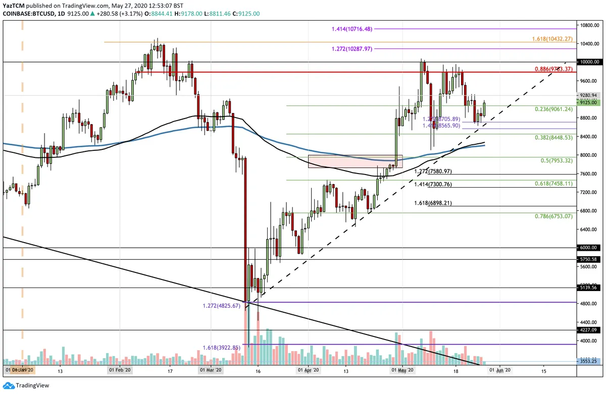 BTC Daily Chart