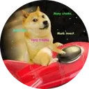 DOGE-1
