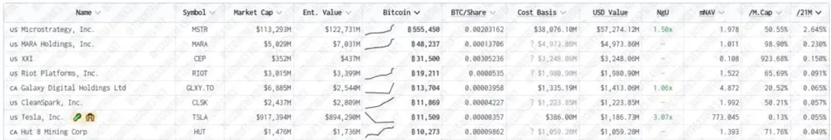 Institutional bitcoin holders