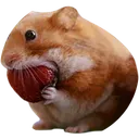 nomnom