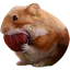 nomnom