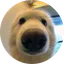 BOOP/WETH