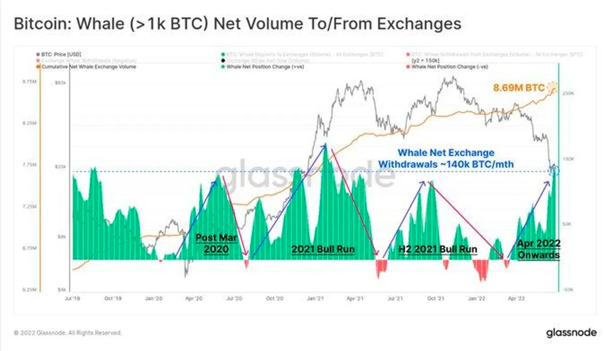 Bitcoin holder balances