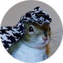 Sugar Bush The Squirrel