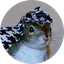 Sugar Bush The Squirrel