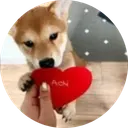 achi
