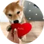 achi