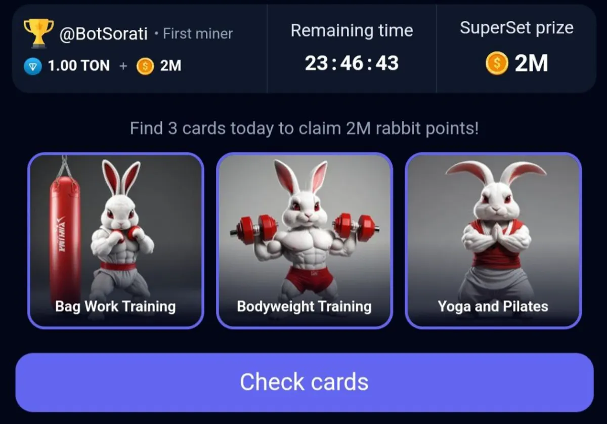 rocky rabbit superset