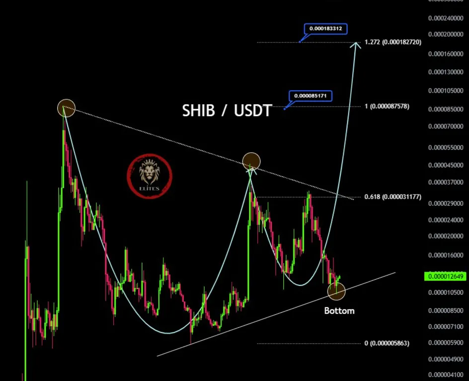 CryptoElites: Shiba Inu Price Prediction 2025