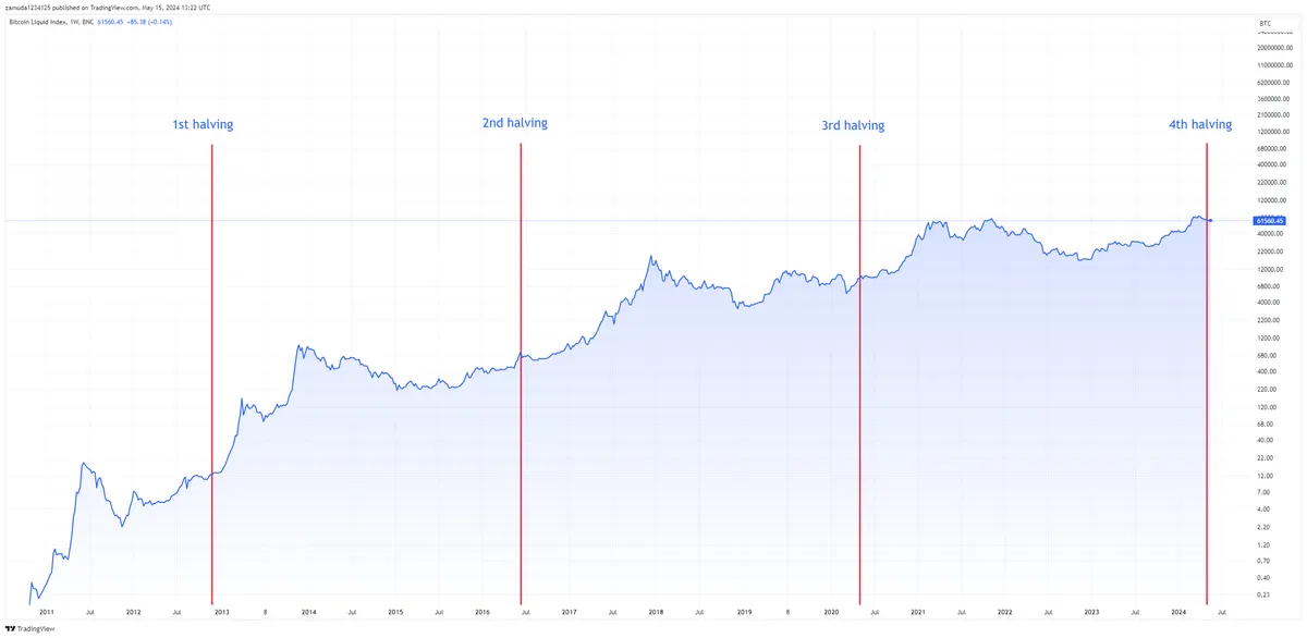 Bitcoin halving price chart