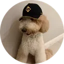 Fur-nancial advisor
