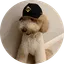 Fur-nancial advisor