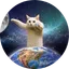 Longcat