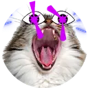 BookOfPussyCats