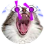 BookOfPussyCats