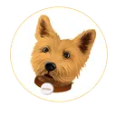 TOTO Token