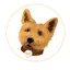 TOTO Token
