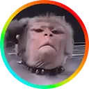 Malou Token