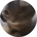 CHIPI