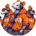 We Are Rats
