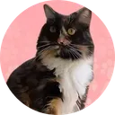 Pnut's Sister
