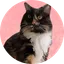 Pnut's Sister