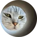 MUNCAT