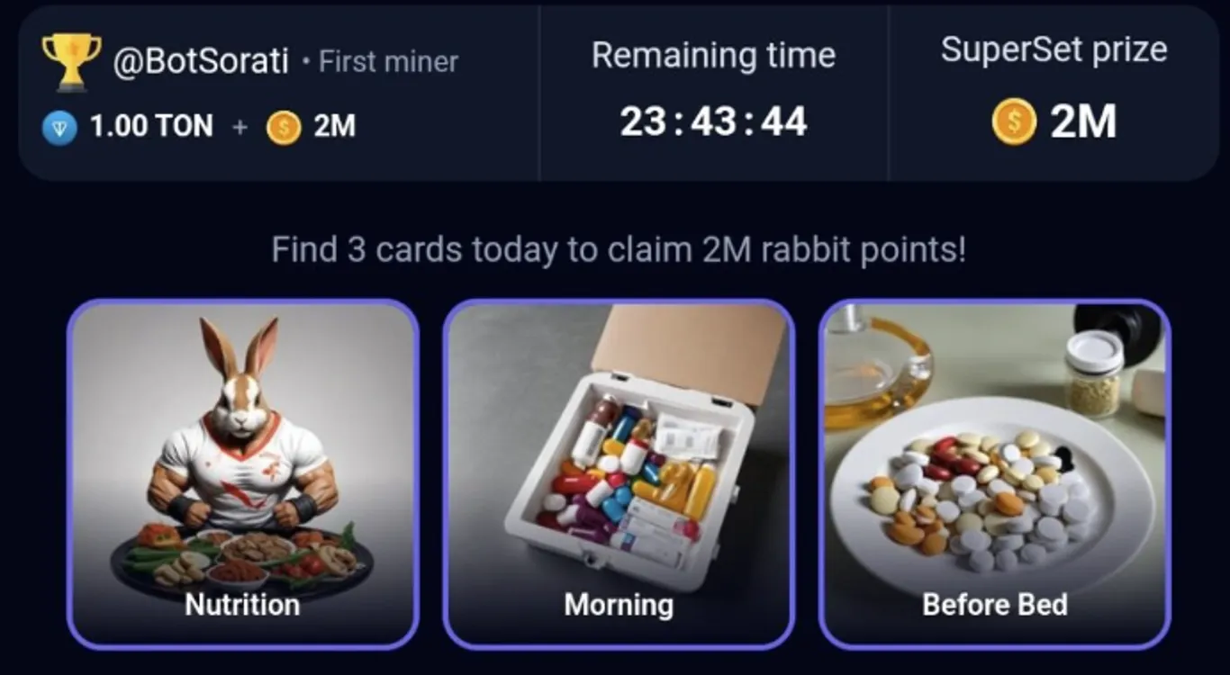 rocky rabbit superset