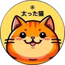 Chonk The Cat