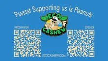EcoCashew.com Is Spearheading the Charge to End the Exploitation of African Cashew Farmers