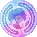 Shambala