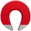 Magnet
